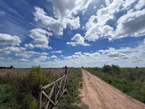 Terreno - Chabas