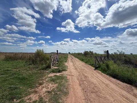 Terreno - Chabas