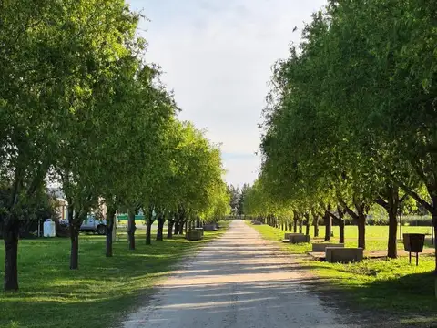 LOTE 401 EN VENTA - "CAMPOS DE ROCA II" - EXCELENTE UBICACIÓN EN CUL DE SAC
