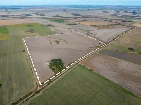 37 Hectáreas A 5 Km De Hernandez