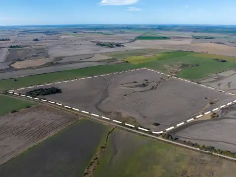 Campo en Venta Agrícola