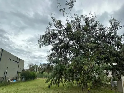 LA RESERVA DE HUSDON 100