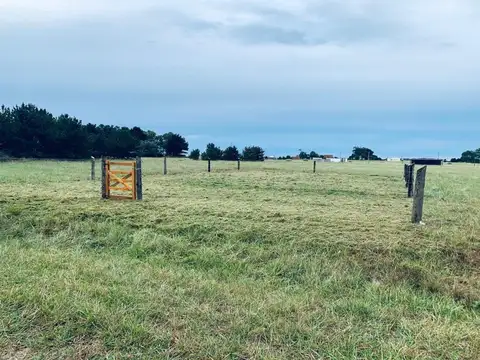 Terreno en Venta de 375,0 m2