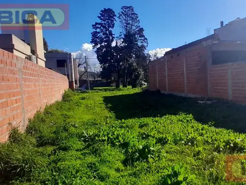 Mendoza y Asunción