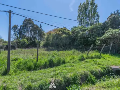 Salinas casi  Luis Alberto de Herrera