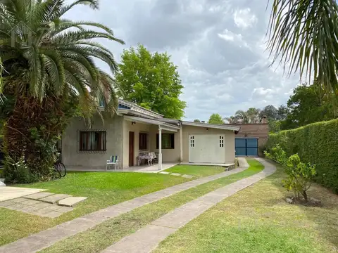 Los abedules al 1900