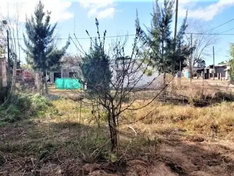 Terreno en Venta 12  mts Fondo