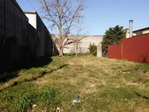 Consultar dirección