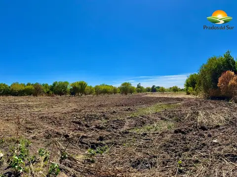 Terreno en Longchamps