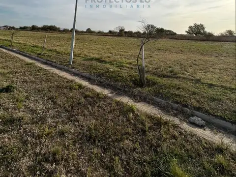 VENTA - LOTES 2000 M2 - COLINAS DE SINSACATE