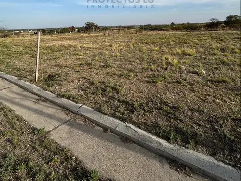 VENTA - LOTES 2000 M2 - COLINAS DE SINSACATE