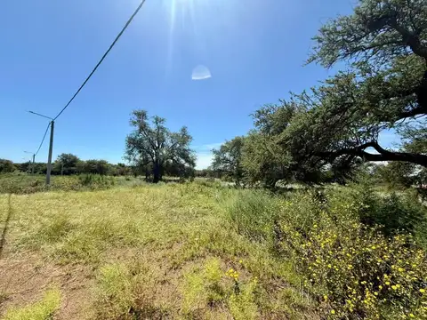 Terrenos sobre Frank, Cortaderas III