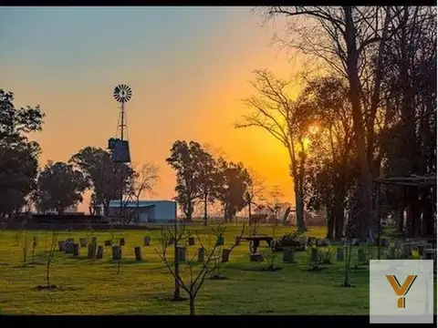 Los Tres Pinos