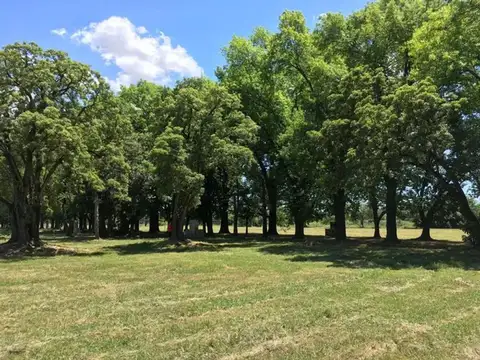 VENTA LOTE SAN MIGUEL BARRI ALTOS DE SAN JOSE