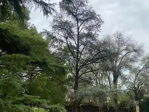Terreno en Venta de 394,0 m2