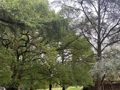 Terreno en Venta en La Reja, USD 50.000