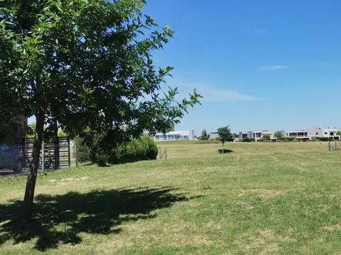 Terreno en Venta 45  mts Fondo