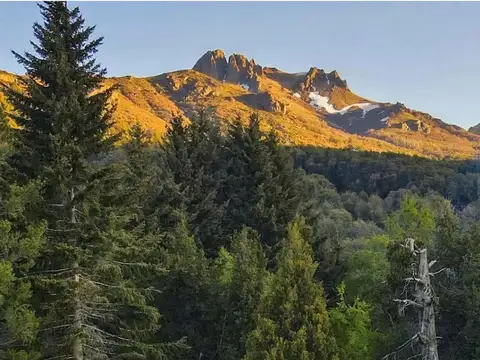 Ruta Provincial 65