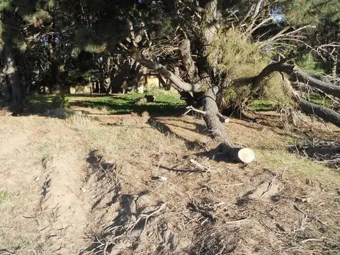 Terreno en Venta de 572,0 m2