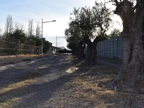 Calle Ozamis Sur 3000