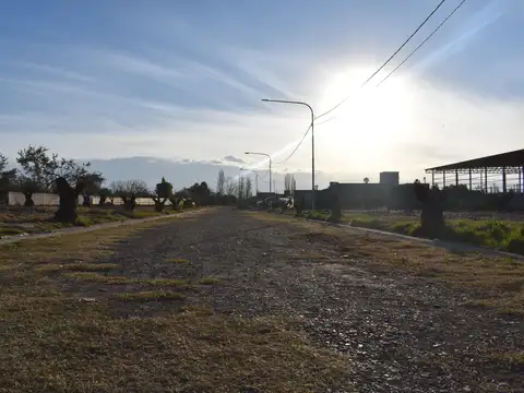 LOTES EN VENTA - MAIPÚ