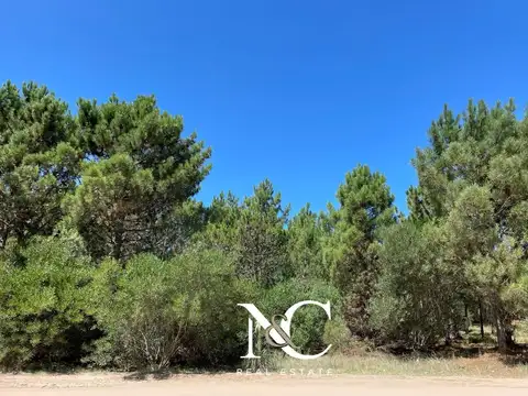 Terreno en Venta en Barrio Golf 2, USD 135.000