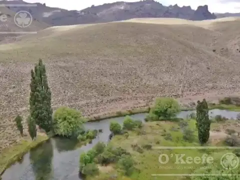 Chacra en venta de 7.88 Has sobre Río Limay  Patagonia Argentina