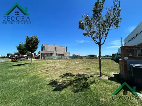 Terreno en Venta 40  mts Fondo