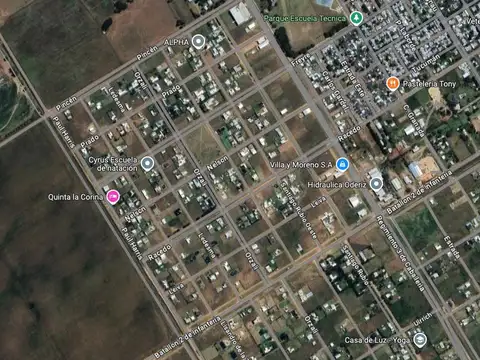 Lote . | Paul Harris
