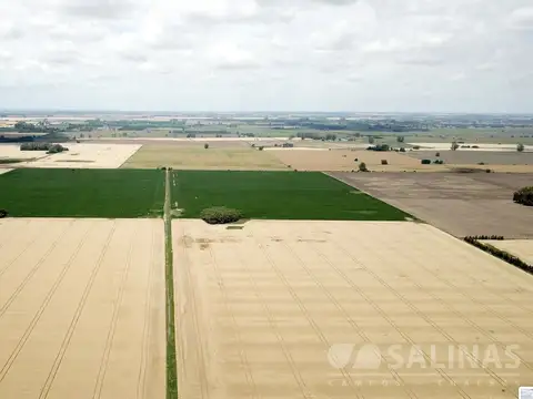 Campo en Venta de 135  ha