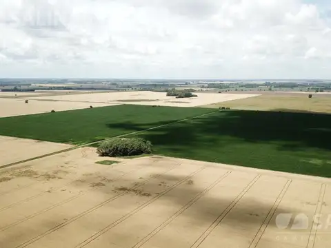 Campo Agrícola con Casco en Zárate