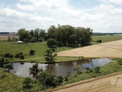 Campo en Venta de 135  ha