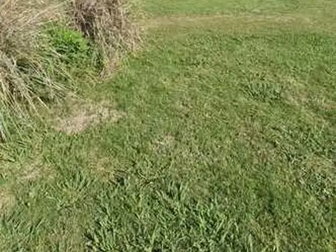 Terreno en Venta de 1310,0 m2