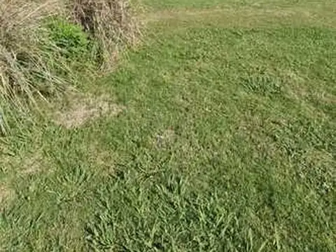 Terreno en Venta de 1310,0 m2