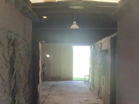Santos 1800