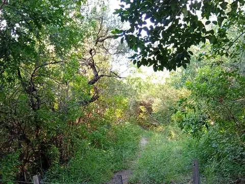 Terreno en Venta de 420,0 m2
