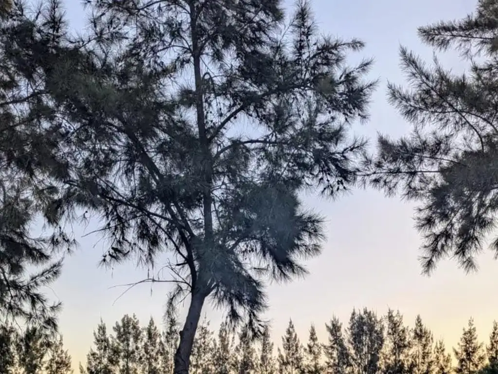 Terreno en Venta - Lagos Del Norte