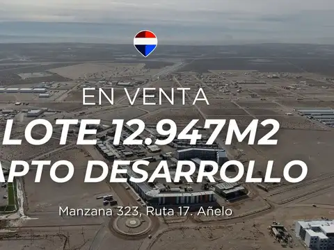 LOTE 12947m² APTO DESARROLLO | SOBRE RUTA 17 AÑELO