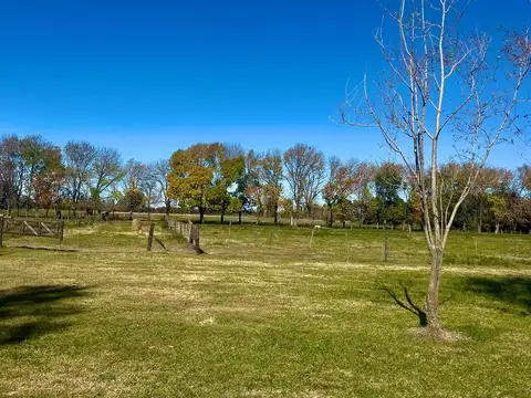 VENDE 24 Has Campo de Polo