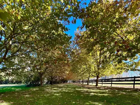 VENDE 24 Has Campo de Polo