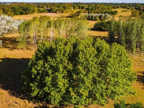 Lote/terreno en venta Azurra Tortugas - Pilar - sector 3