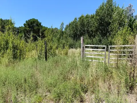 Destructor Entre Rios al 700