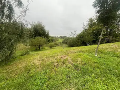Ruta intermunicipal