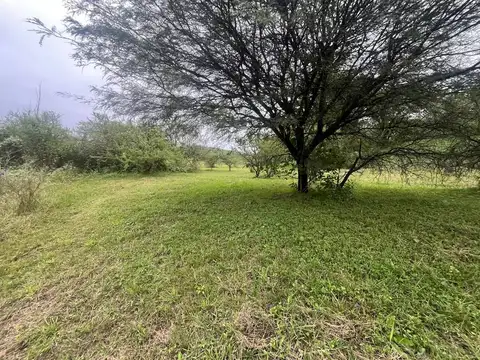 Ruta intermunicipal