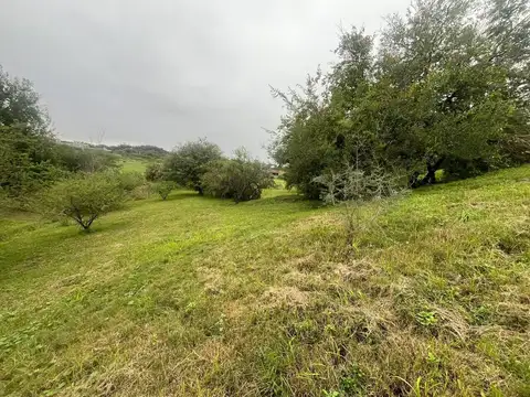 Terreno en Venta en Estancia El Terron, USD 245.000