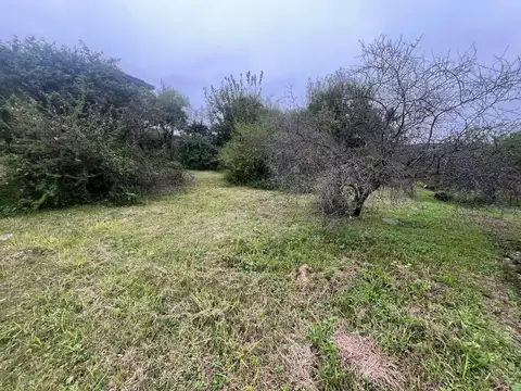 Ruta intermunicipal