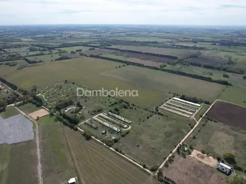 Terreno en Venta de 562815,0 m2