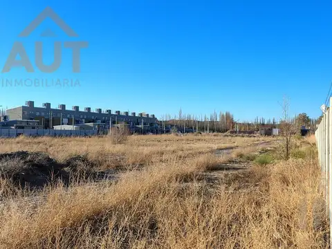 Calles Río Colorado y Chivilcoy, Neuquén