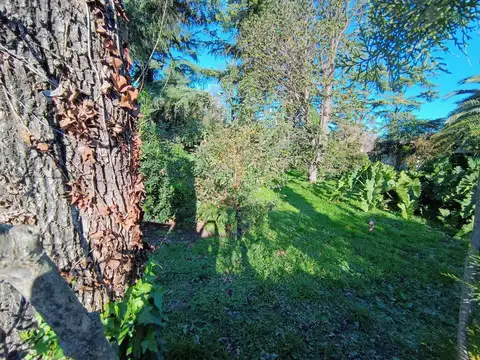 Lote Terreno en Venta centro General Rodriguez Centro