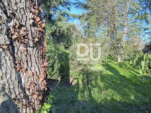 Lote Terreno en Venta en General Rodriguez Centro